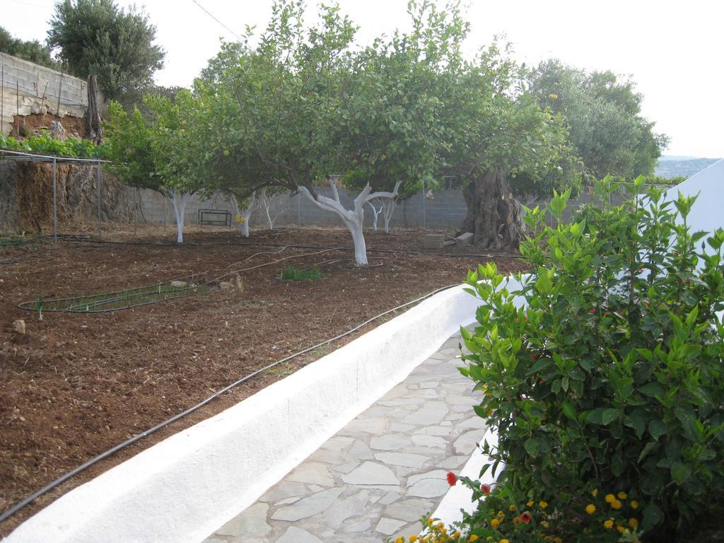 איסטרו Villa Angela מראה חיצוני תמונה